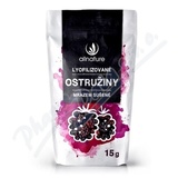 Allnature Ostruina suen mrazem cel 15g
