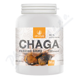 Allnature Chaga Rezavec ikm cps. 100