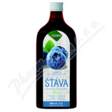 LEROS va z borvky + 5 bylin 500ml