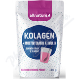 Allnature Kolagen multiv. +inulin p. mal. +cit. 110g