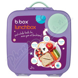 b. box Sva�inov� box velk� lilac pop 2L