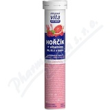 Maxi Vita Hok+vit. B6 B12+biotin tbl. eff. 20