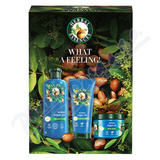 Herbal Essences Argain Oil Xmas d�rkov� sada