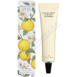 Whamisa Organic Acne Spot Treatment Fruits 30g